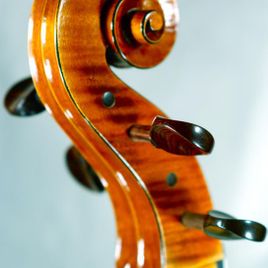 Seitlicher Blick auf die Schnecke eines Cellos 